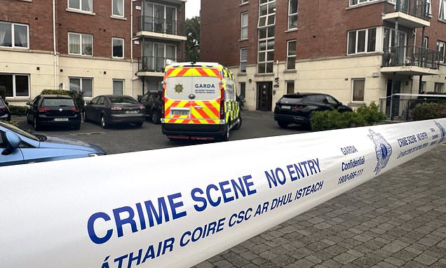 Teenager killed in suspected stabbing named by Ukrainian Embassy