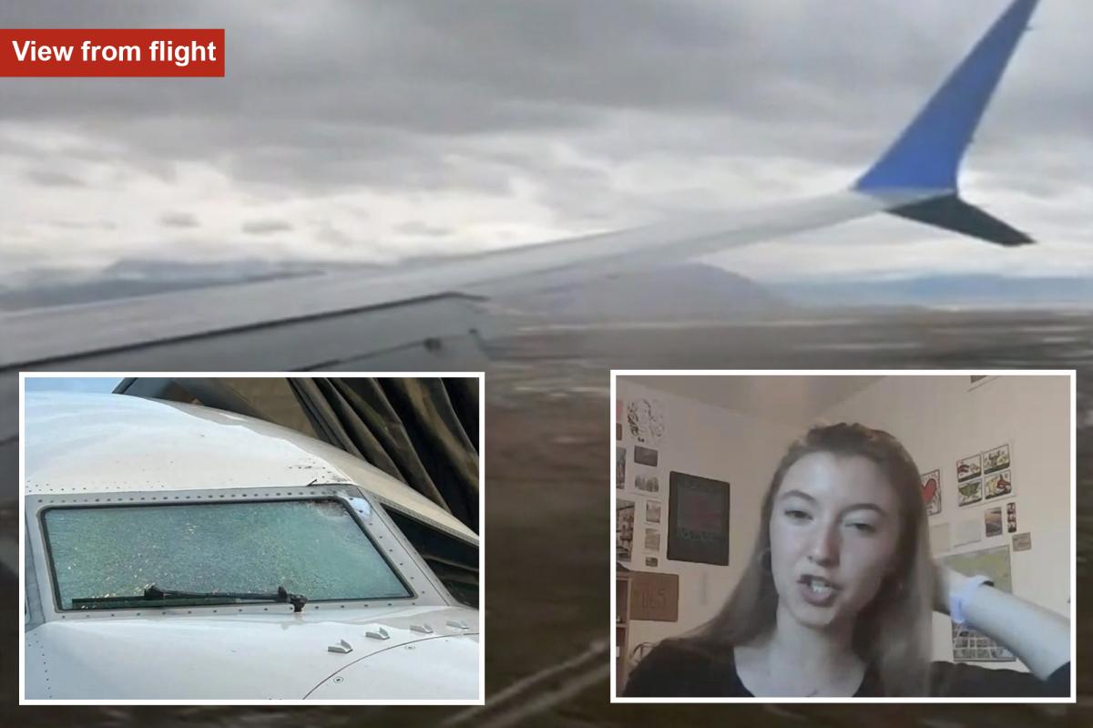 United Airlines passenger describes panic on flight after mystery...