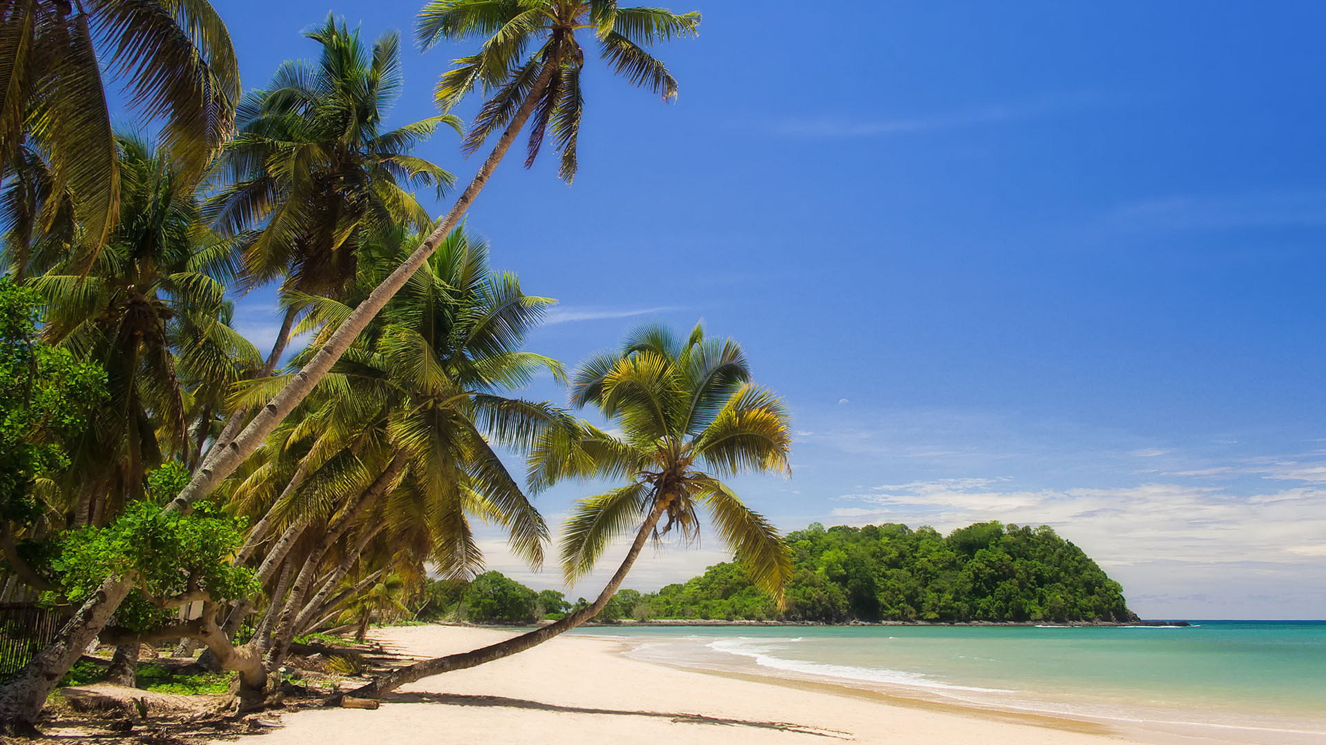 Dire warning for US travelers as island paradise faces rioting and violent coup