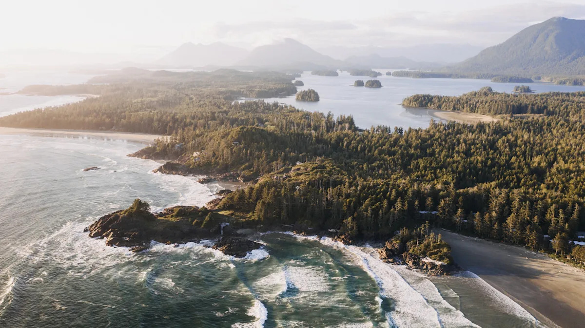 Skip Olympic National Park And Explore The Ancient Rainforests Of This Breathtaking Canadian Alternative