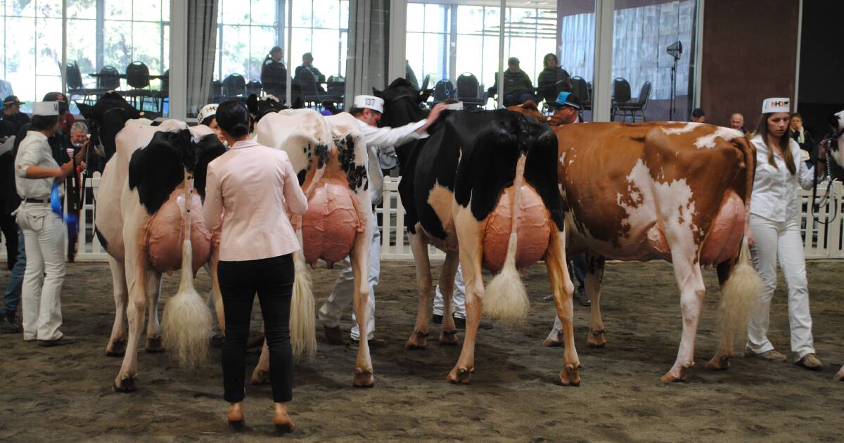 Popular Victorian dairy event to be taken over by competing group