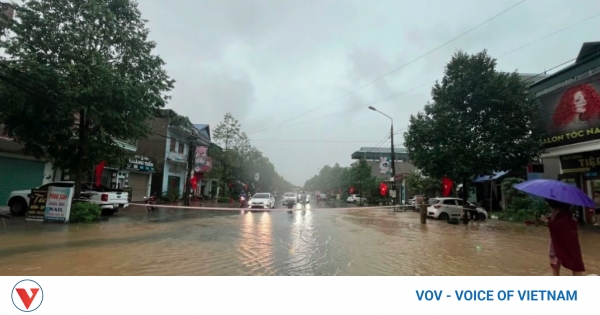 Foreign governments and organizations pledge aid for Vietnam's post-disaster recovery