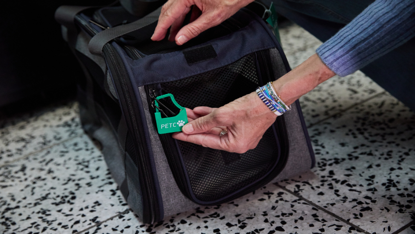 Virgin Australia Boosts Travel Experience: New Eight-Kilogram Carry-On Luggage Limit and Pet-Friendly Flights Launching in October 2025 - Travel And Tour World