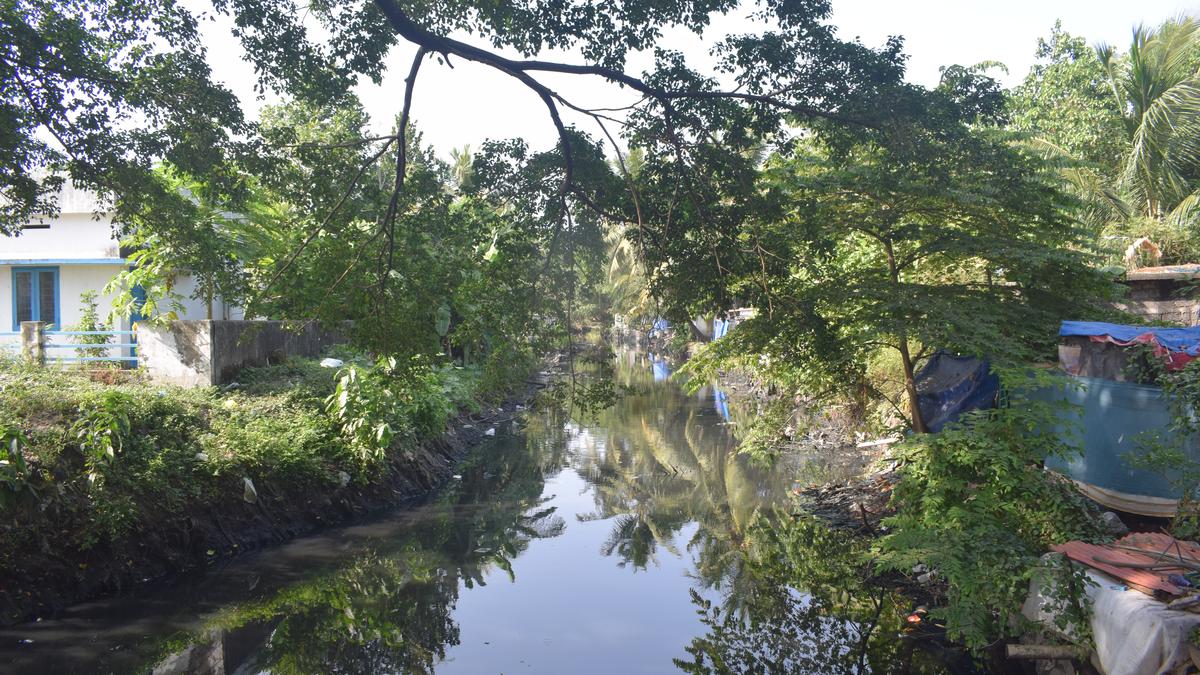 Canals in West Kochi to be rejuvenated starting with Pandarachira canal