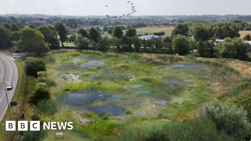 Wetlands nature reserve planned for Horncastle in Lincolnshire