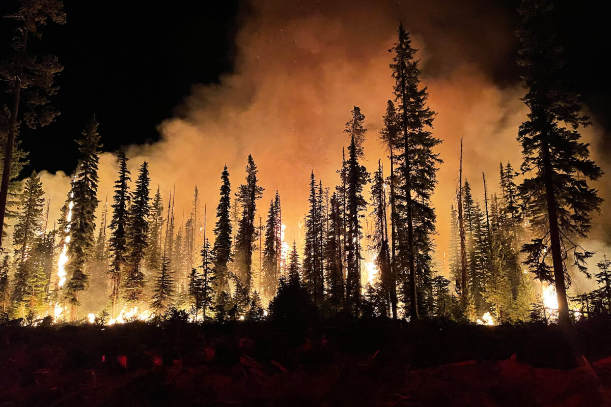 Wildfire smoke could kill 71,000 people per year in the US by 2050, study warns - South Africa Today