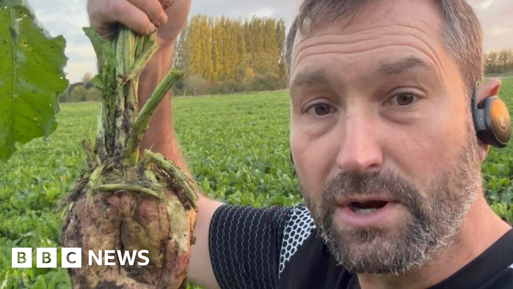 Wisbech St Mary farmer to quit growing sugar beet
