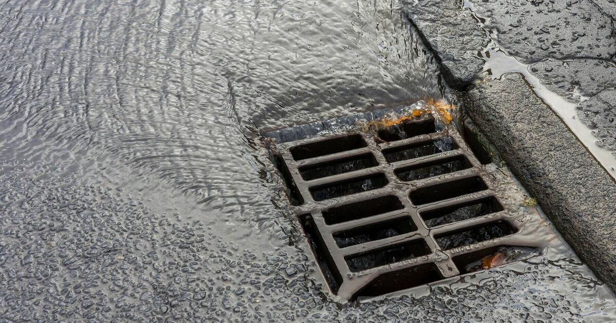 Woman handed 'extreme' £150 fine for pouring coffee down drain