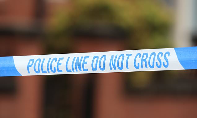 Woman, 43, arrested on suspicion of murder after deaths of two...
