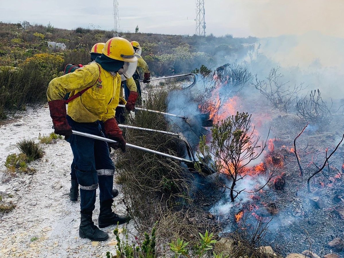 Working on Fire confident in their preparedness for WC's fire season