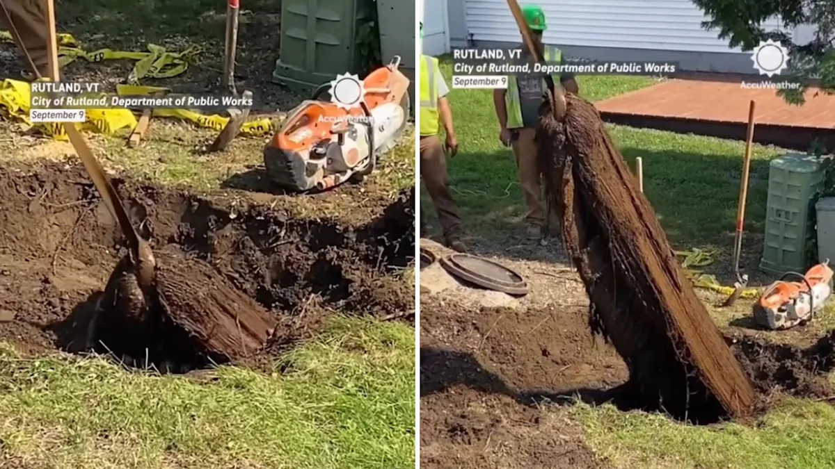 Incredible video shows workers pulling out 'world's biggest drain clog': 'Oddly satisfying'