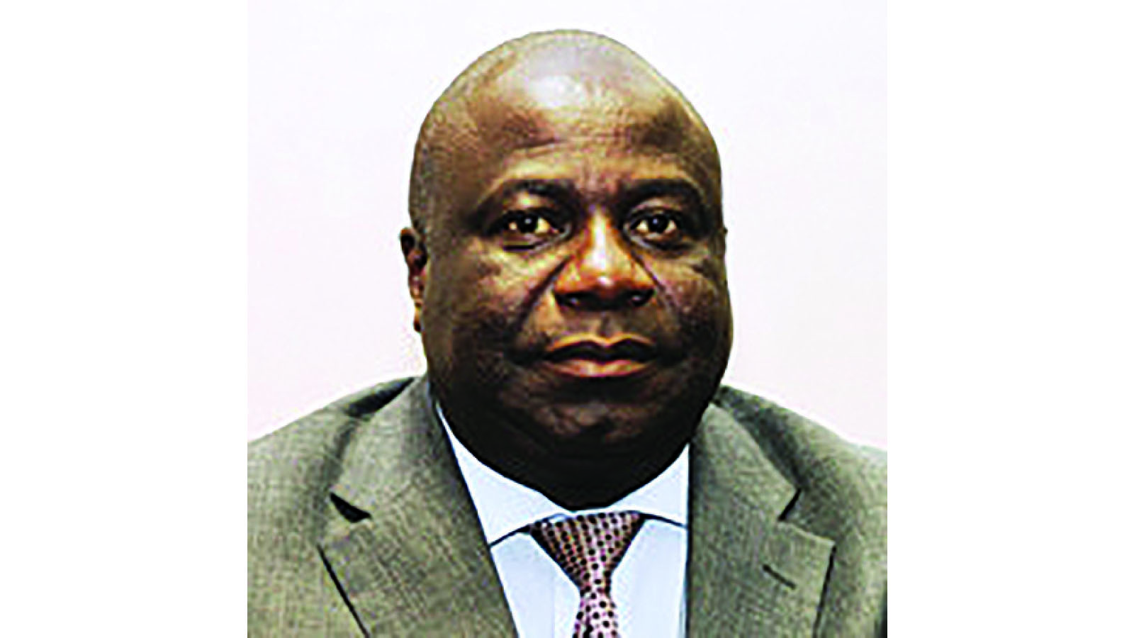 Zim imports timber to cover domestic shortages - herald