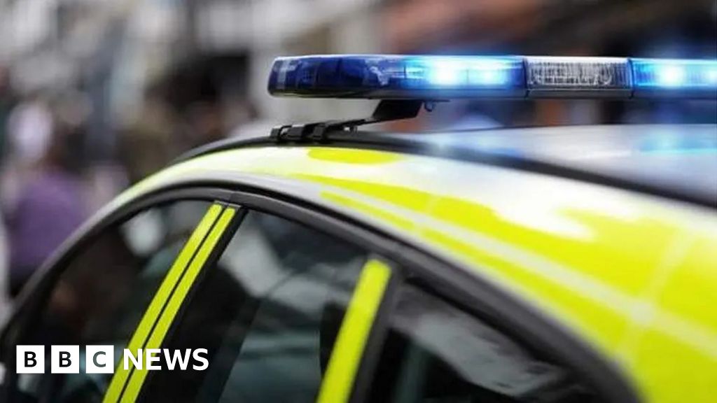 Man, 53, dies after van hits wall at Sidbury
