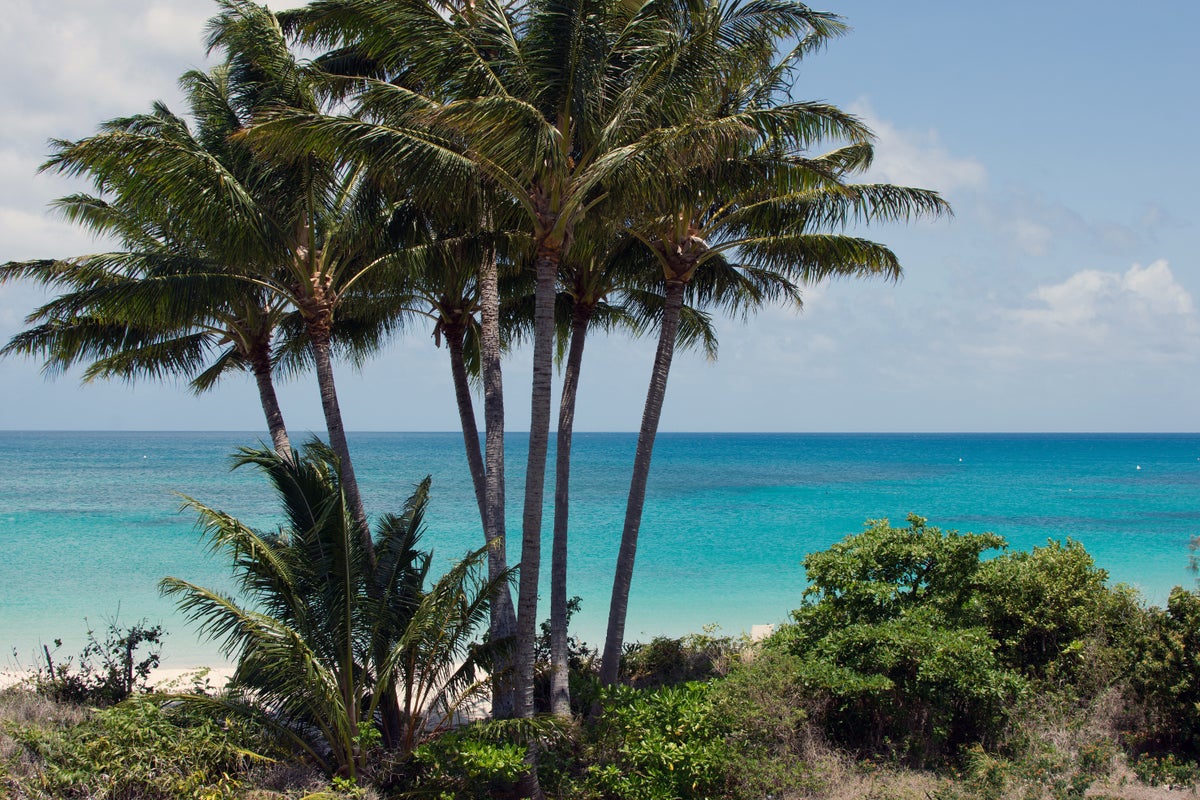 Cruise passenger, 80, found dead after being abandoned on Great Barrier Reef island