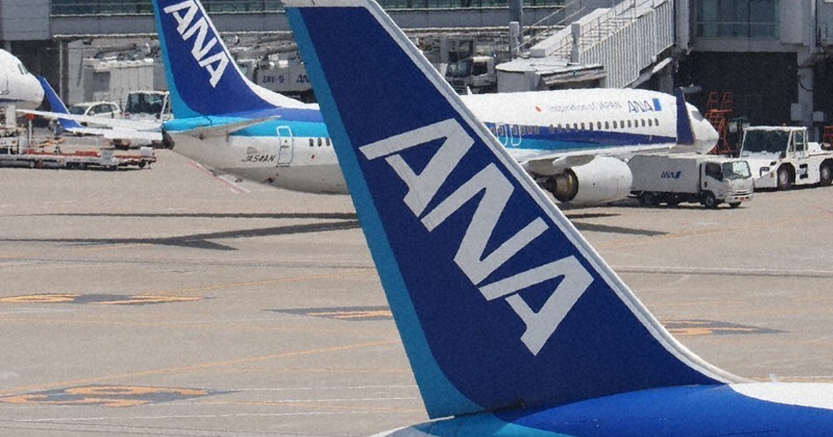 Grounded ANA Airbus planes back in service after software upgrade