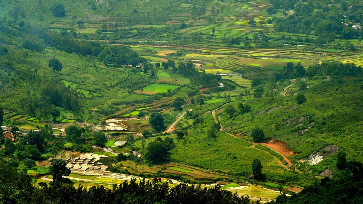 Reorganisation of ASR district to bring governance closer to tribal population