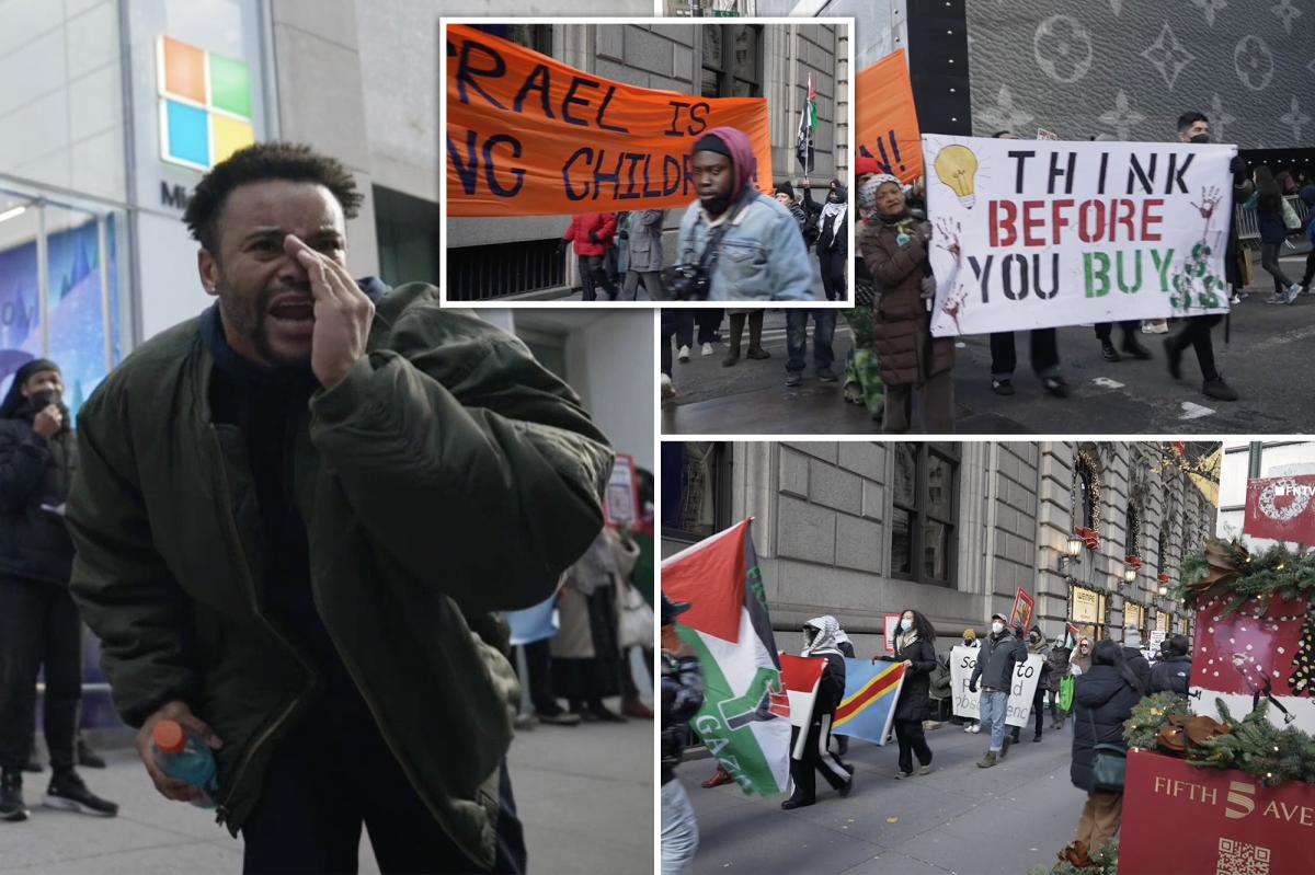 4 arrested as rowdy anti-Israel protesters disrupt Black Friday...