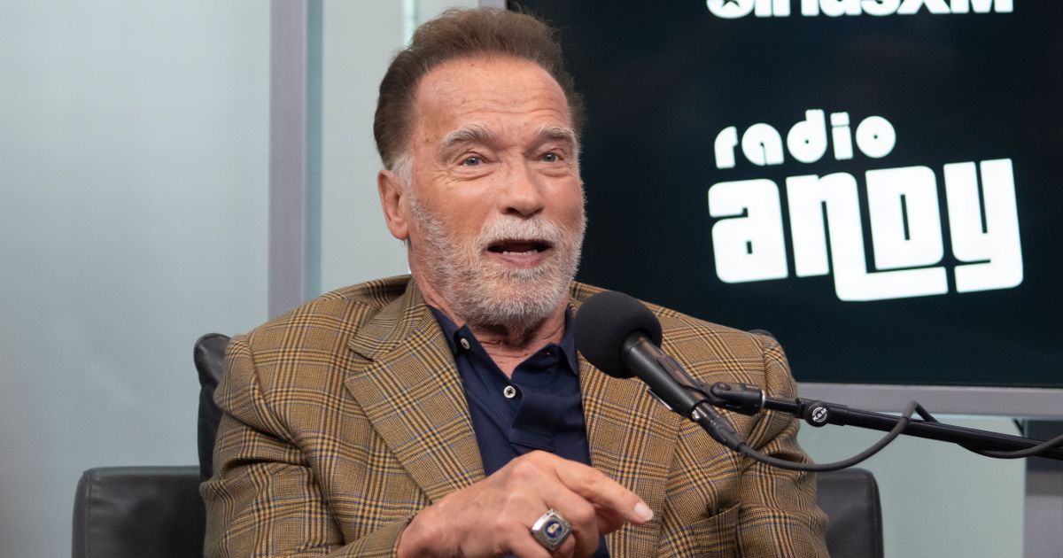 Austrian home village of Arnold Schwarzenegger begs star to save Christmas market - The Mirror