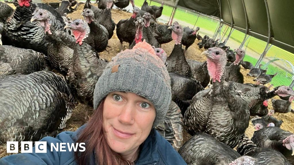 Avian flu: Welsh poultry farmers fear for businesses as birds culled