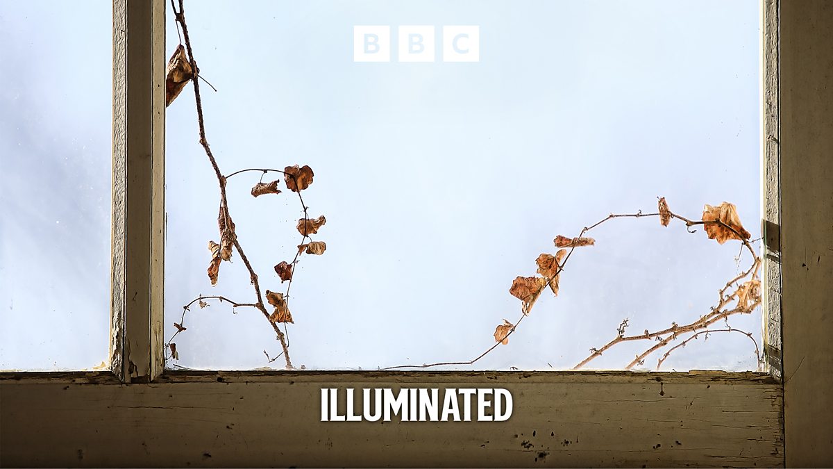 BBC Radio 4 - Illuminated, The Little Box Which Contains the World