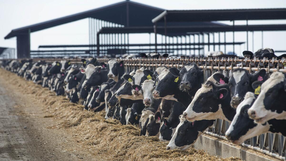 State agriculture dept. is hiding bird flu information, legal aid group alleges in lawsuit