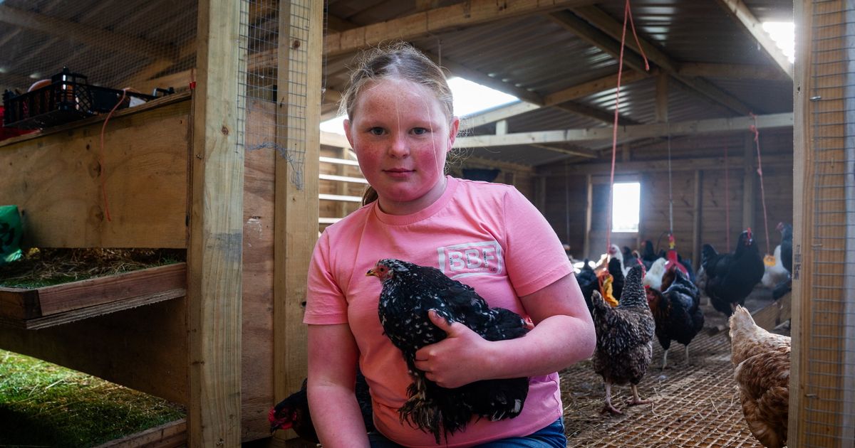 Britain's youngest farmer cares for 200 animals and makes own goat ice cream - Daily Star