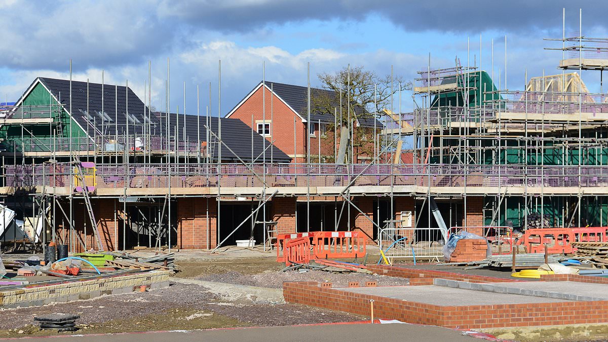 Britain's biggest builder: Back home buyers to hit new-build target
