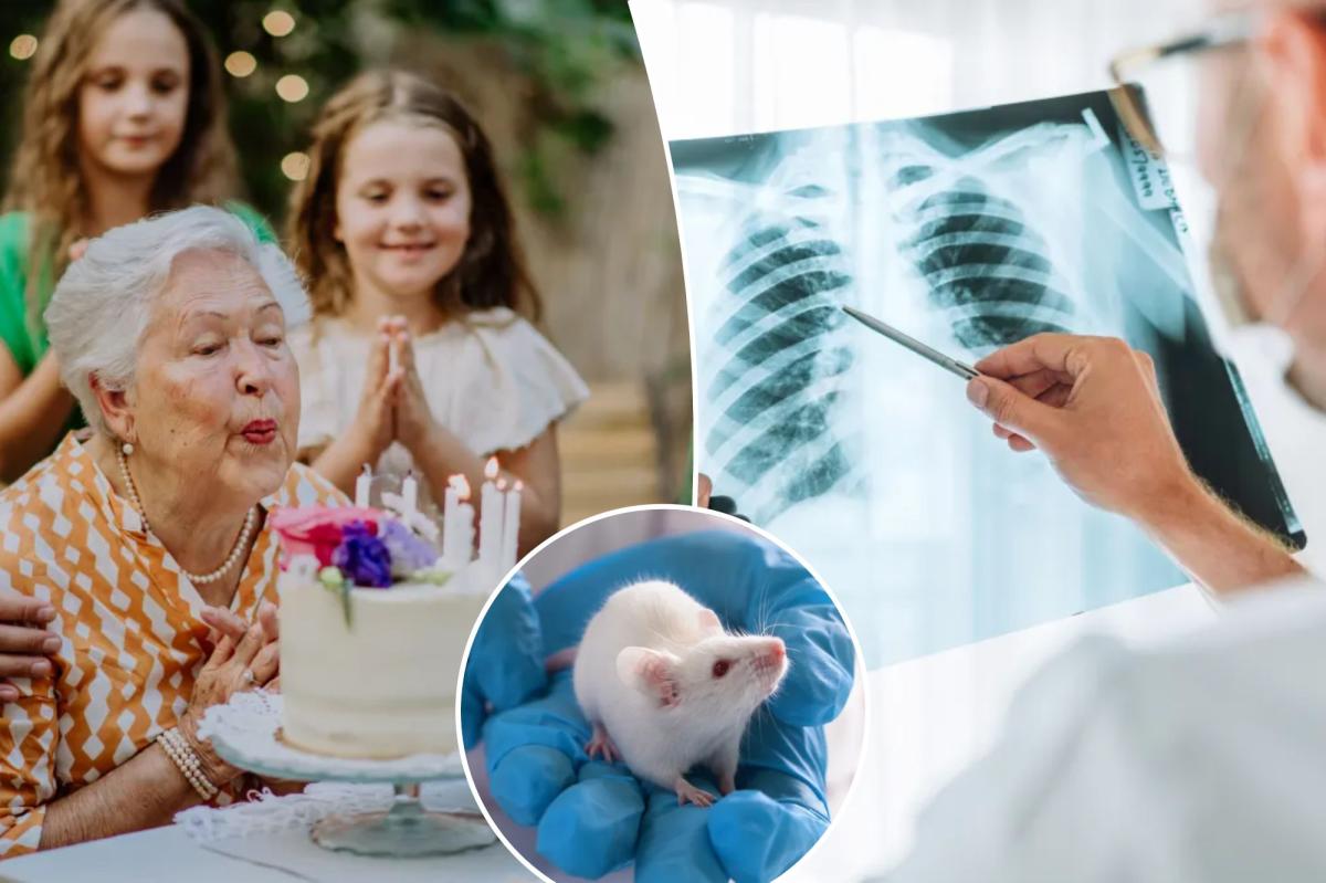 This is the age when cancer rates level off and actually drop