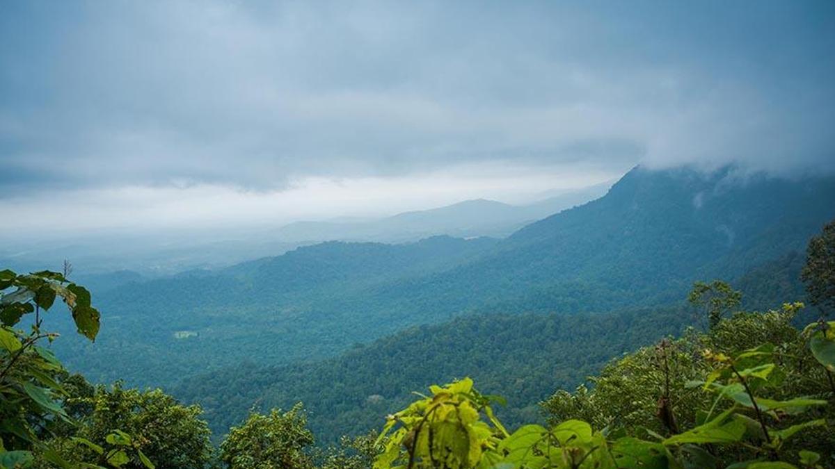 In a boost to conservation, Centre rejects quarry proposals in Western Ghats