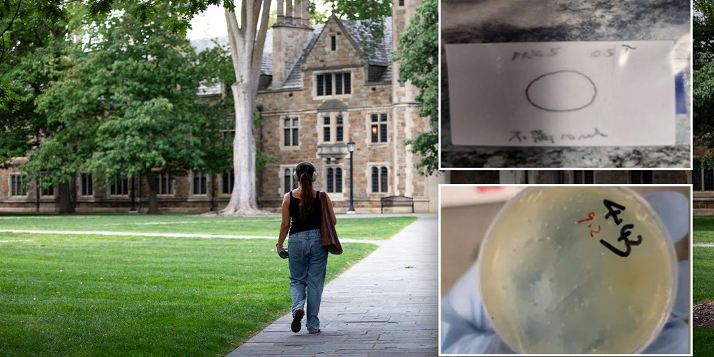 What we know about the Chinese nationals accused of smuggling biological materials while at university lab