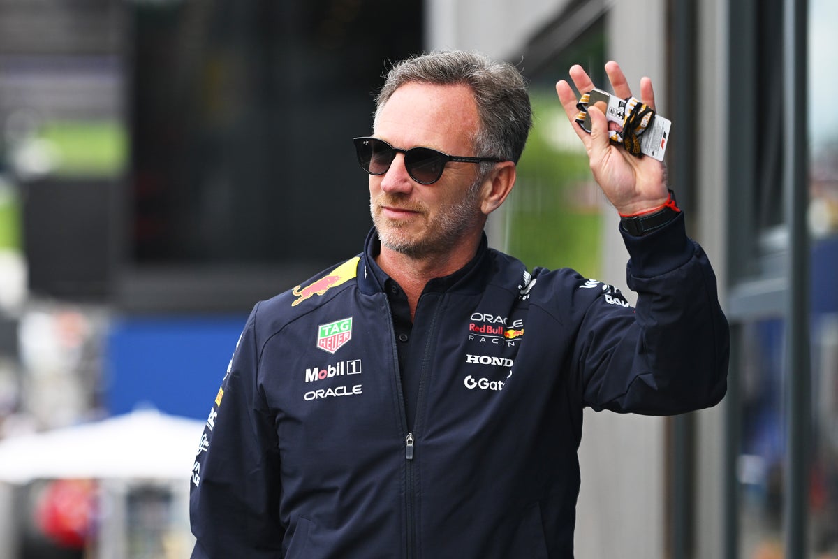 Christian Horner 'changed after Netflix F1 fame', says arch rival Zak Brown