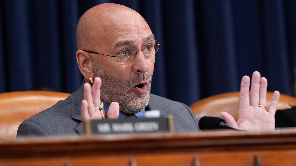Just one House member voted against releasing the Epstein files