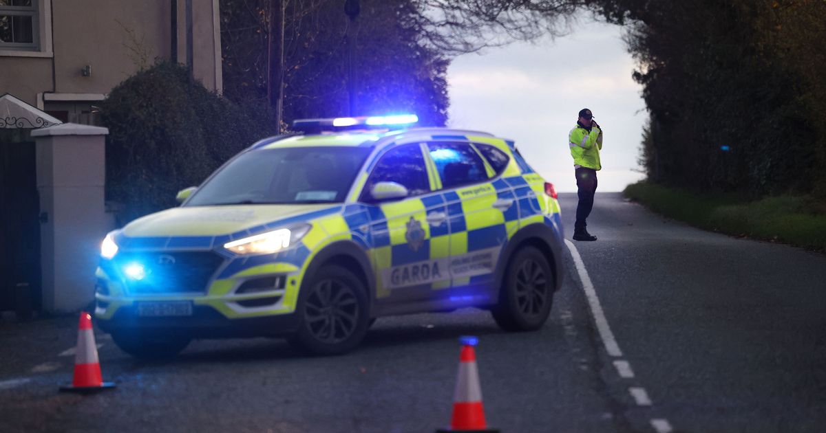 Co Louth crash: Five victims killed in 'devastating incident' that shocked Ireland - The Mirror