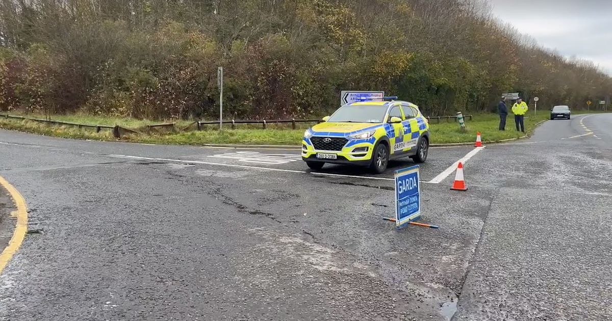 Co Louth crash: Three men and two women killed in horror car accident - The Mirror