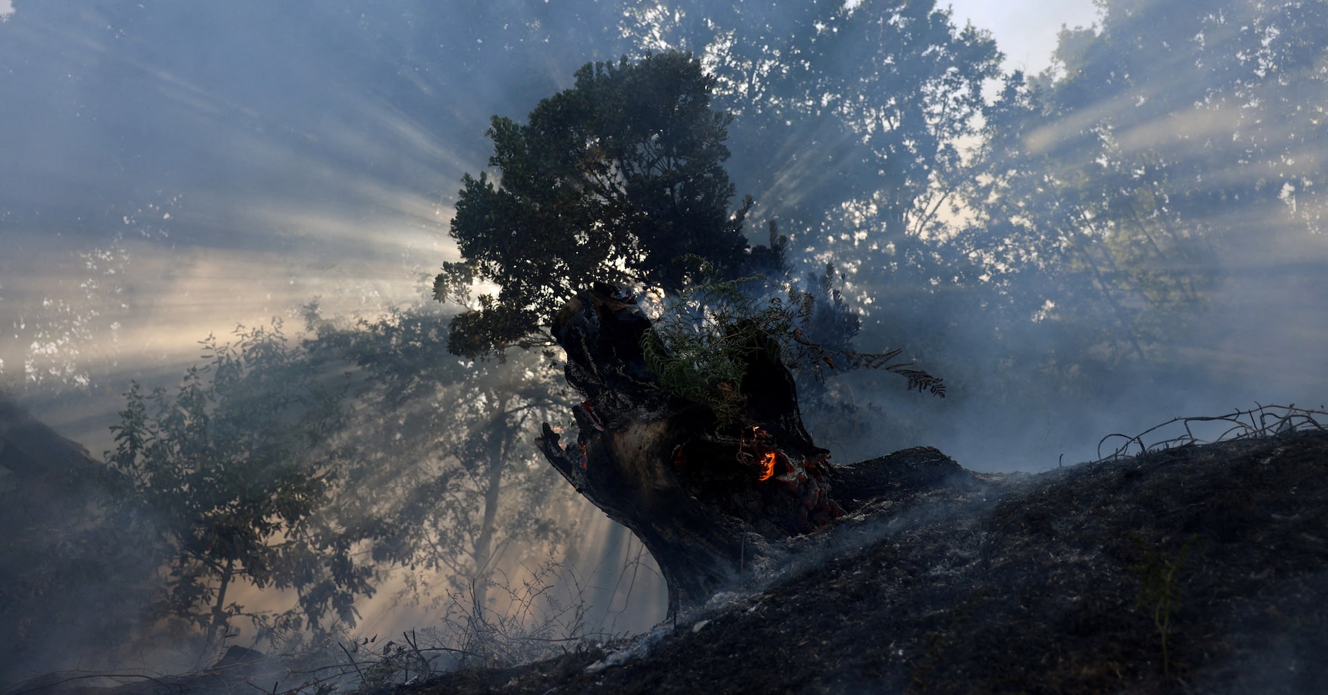 Takeaways from the COP30 climate summit in Brazil
