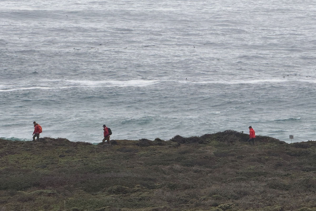 Dad dies and his 5-year-old missing after big waves pull them off California beach