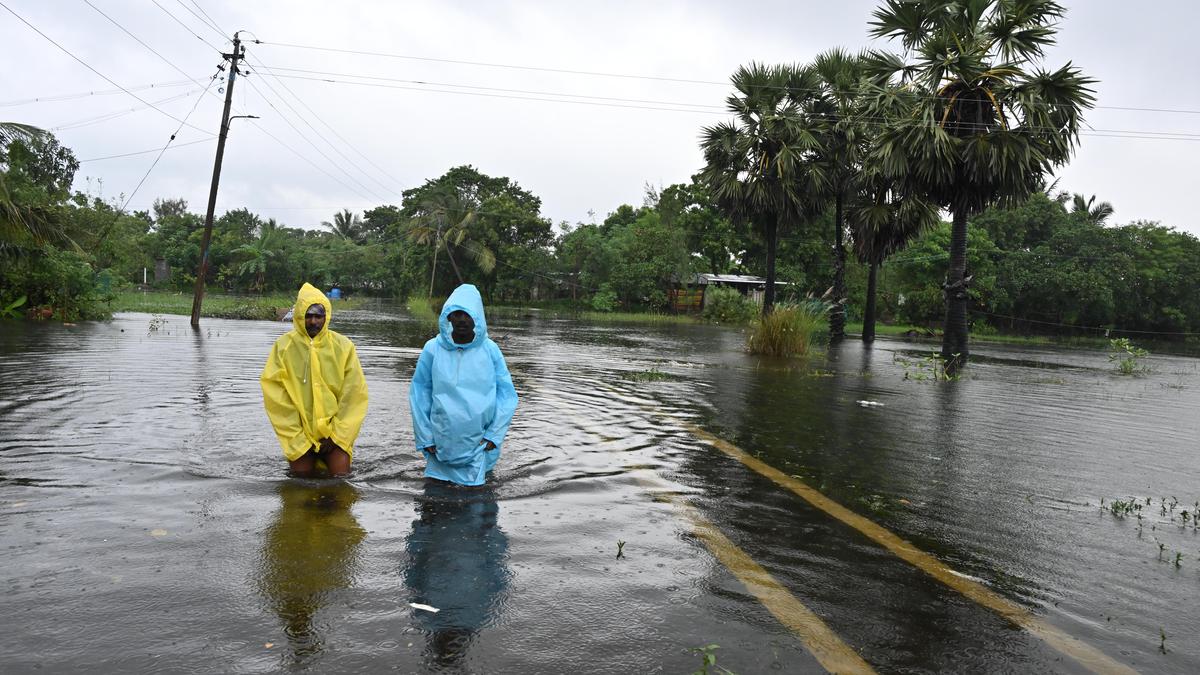 Delta farmers battling widespread submergence of crops