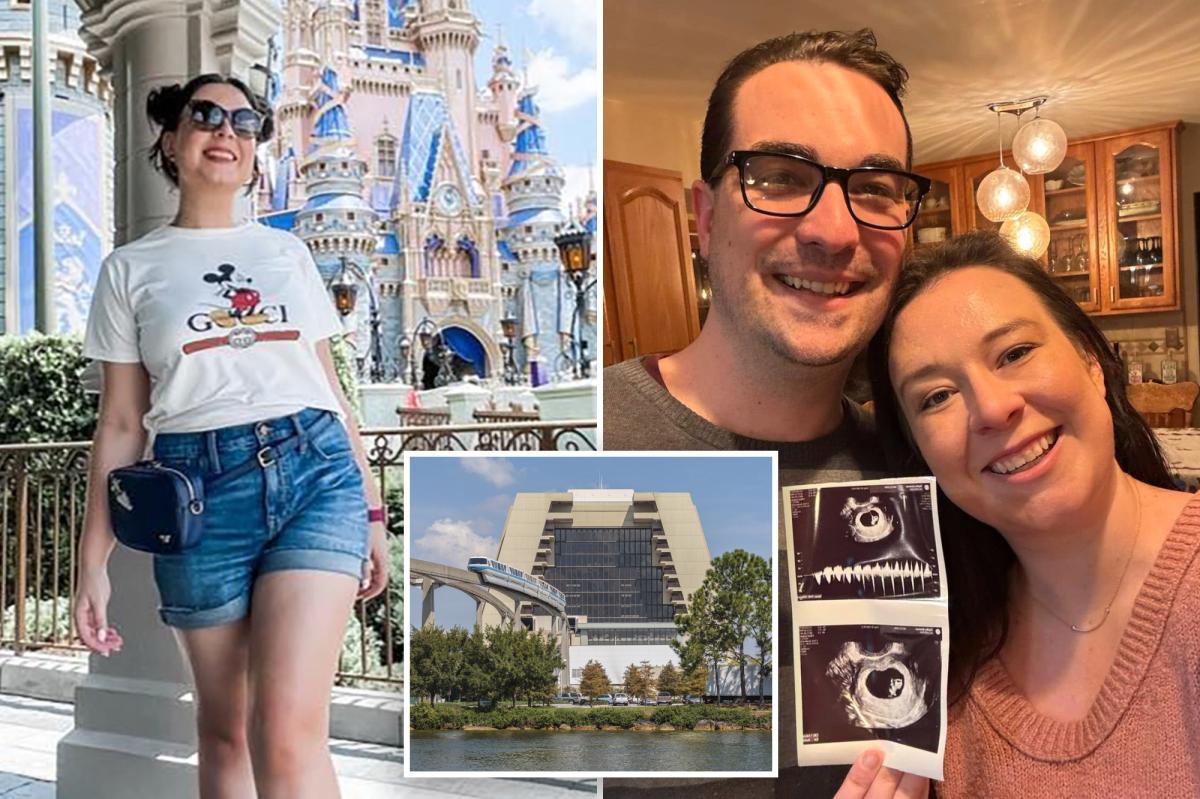 Witnesses describe horrifying sound after Disney superfan leapt from...