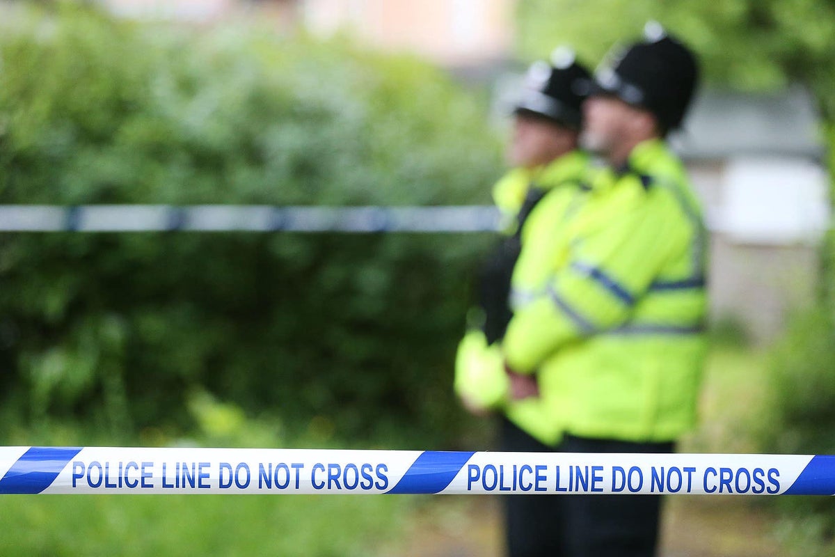 'Child's body' reported in woods found to be 'deeply disturbing' childlike sex doll