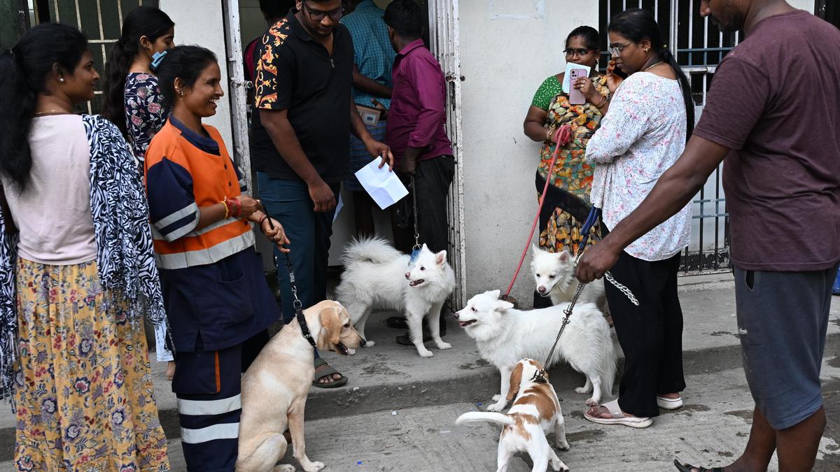 Dog owners demand extension of deadline for licensing of pets