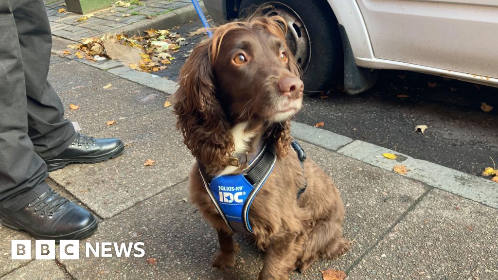 Dogs join humans in Northampton organised crime crackdown