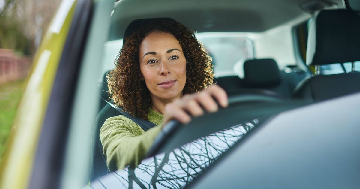 Drivers warned as item in car 'dirtier than a toilet seat'