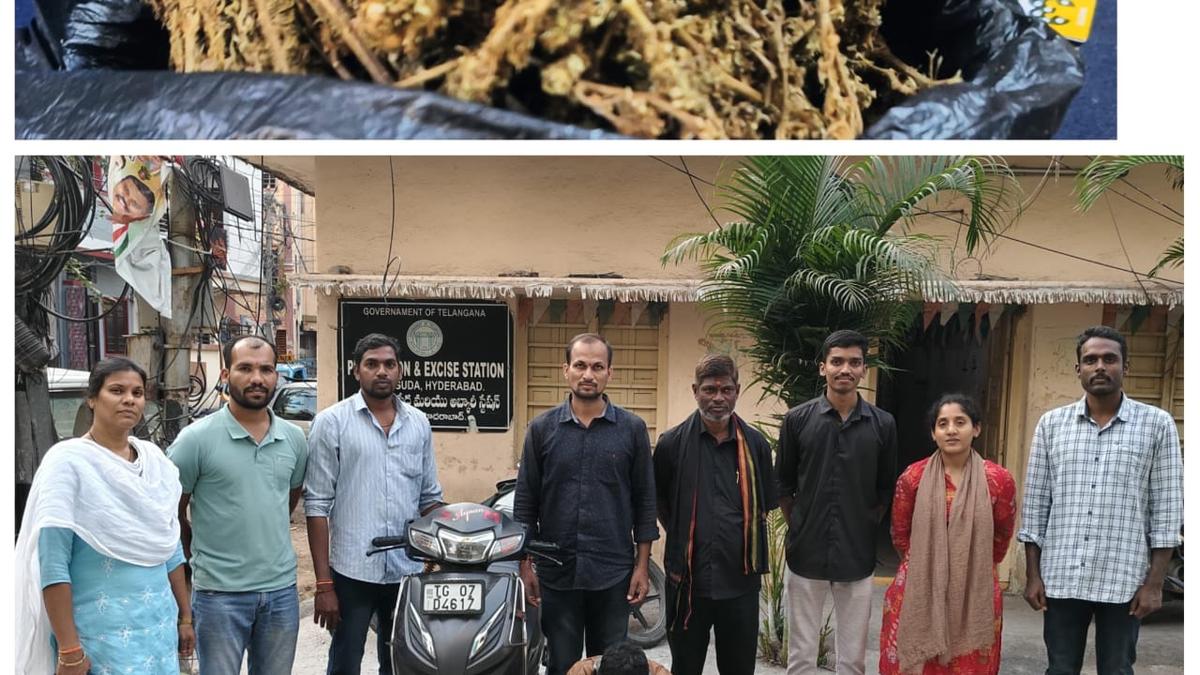 Two drug peddlers arrested by excise officials; over 750 gm ganja seized