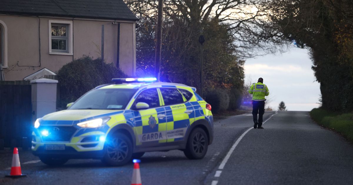 Dundalk crash: Major update on sixth victim as five dead in horror collision - The Mirror