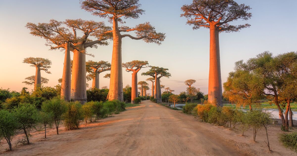 Lesser-known 'eighth continent' has crystal-clear water and beautiful beaches