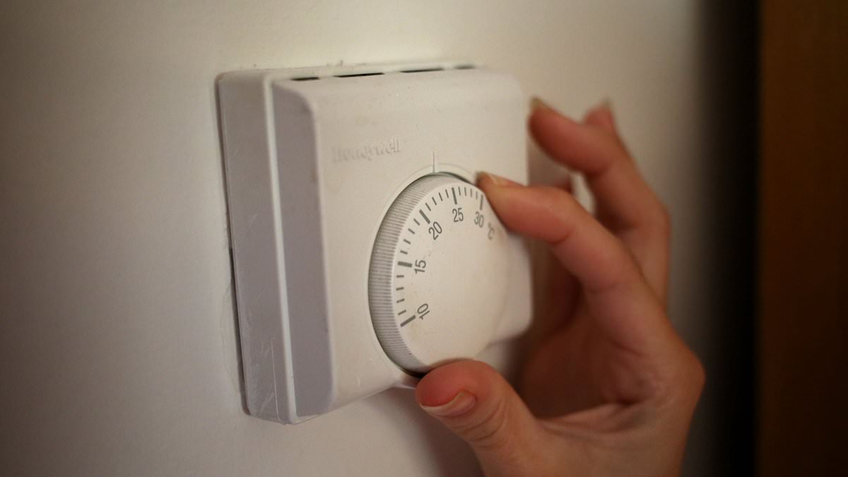 Energy bills to rise over winter as Ofgem raises price cap