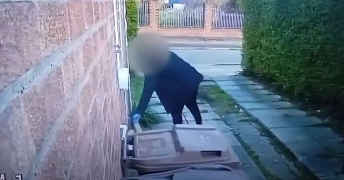 Evri driver sacked as neighbours go full on detective after not receiving parcels - Daily Star
