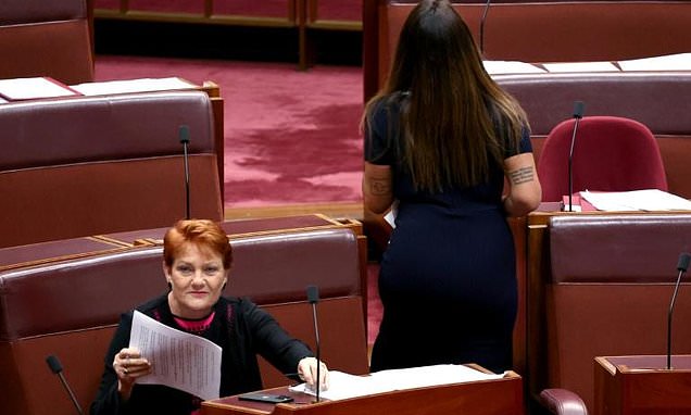 Far-right Australian politician dons burqa in parliament