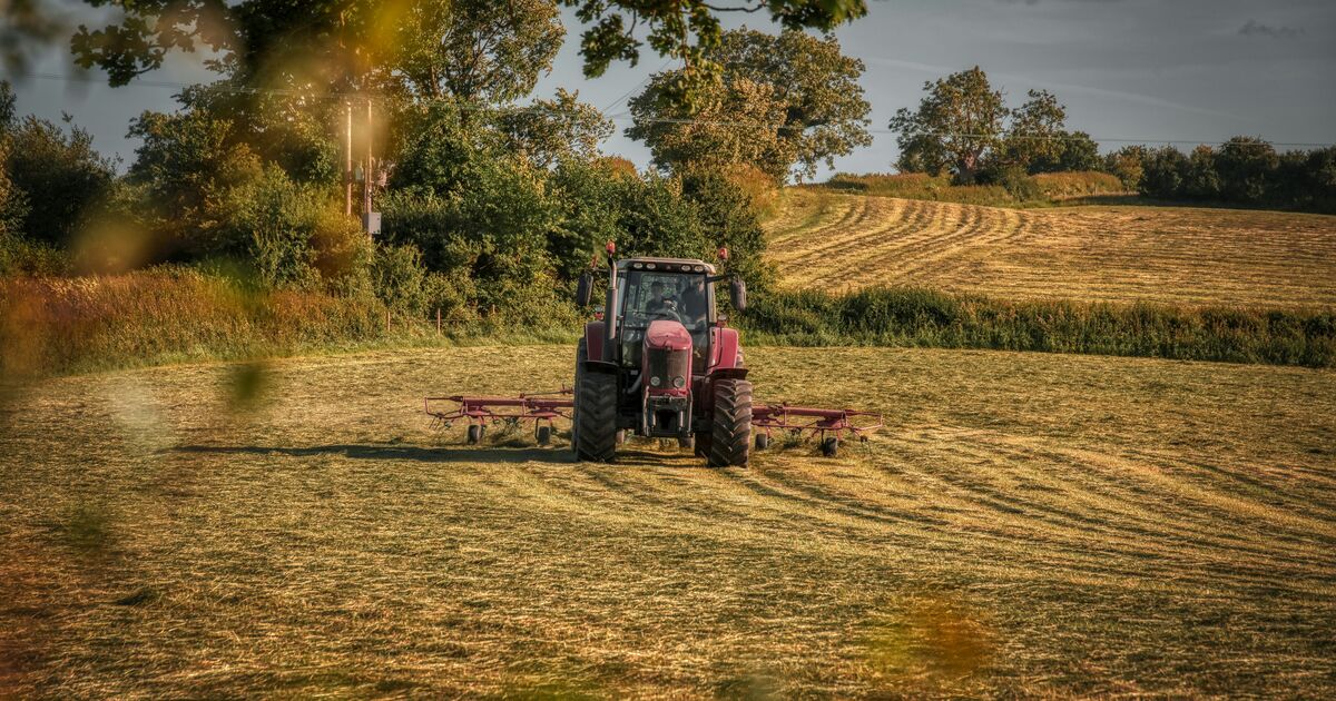 Rachel Reeves issued warning over cash grab as 'farmers could quit in droves'