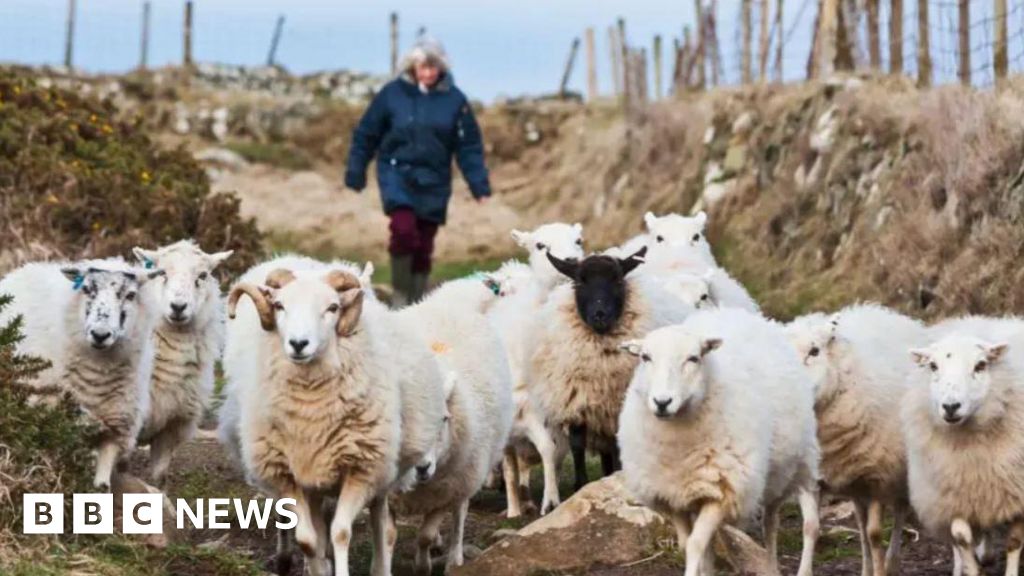 Farming inheritance tax plan 'confusing and should be delayed'